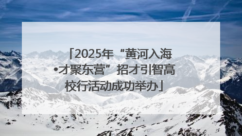 2025年“黄河入海•才聚东营”招才引智高校行活动成功举办